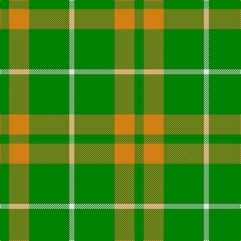 G/18 O40 G80 LN/10 tartan Tartan detail