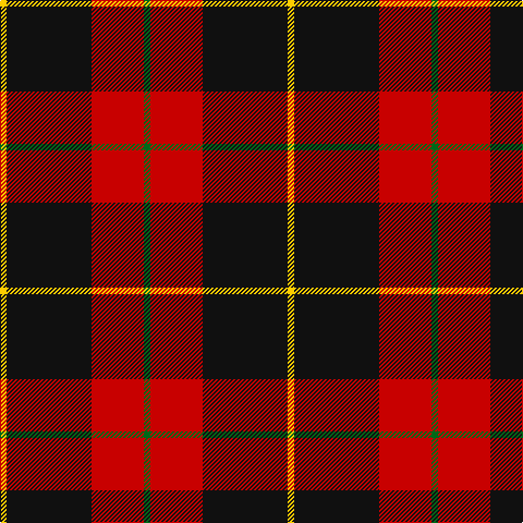Y/6 K78 R48 G/6 tartan Tartan detail