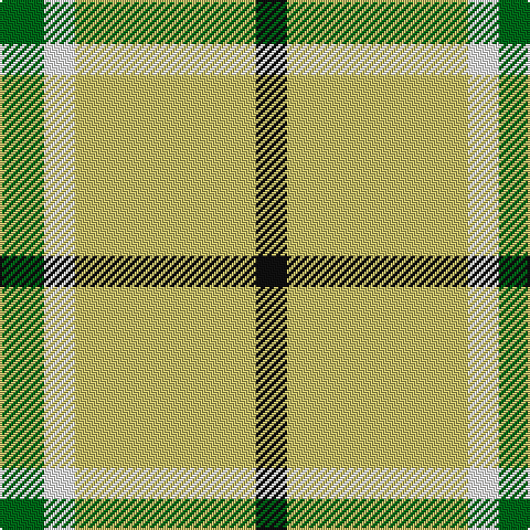 G/20 W14 LG82 K/14 tartan Tartan detail