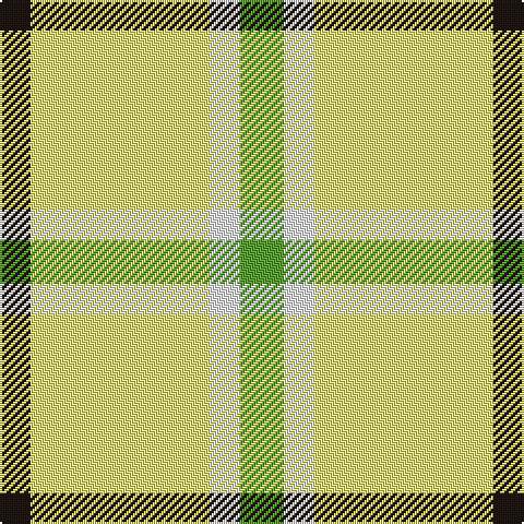 K/14 LY82 W14 LG/20 tartan Tartan detail