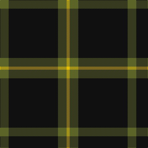 G/28 K160 G28 Y/10 tartan Tartan detail