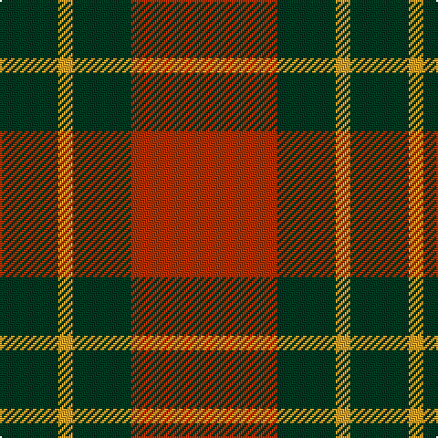 DG/32 Y8 DG32 R/80 tartan Tartan detail
