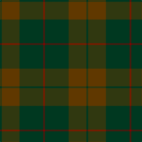 DG/6 T60 DG80 DR/6 tartan Tartan detail