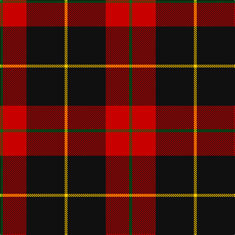 G/6 R48 K78 Y/6 tartan Tartan detail