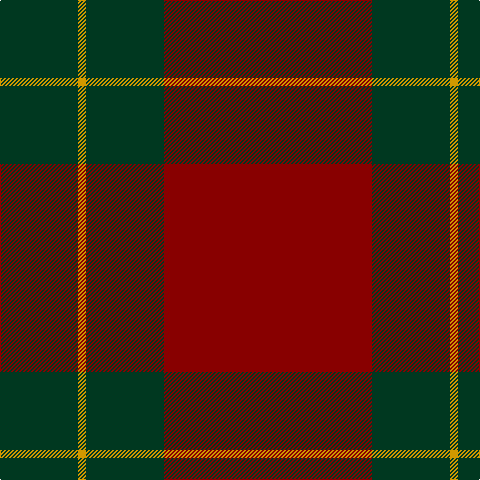 DG/78 DY8 DG78 DR/208 tartan Tartan detail