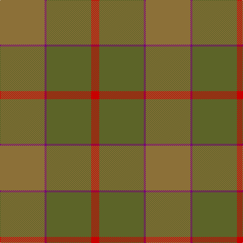 LT/88 P4 G88 R/16 tartan Tartan detail