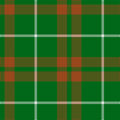 G/18 T40 G80 LN/10 tartan Tartan detail