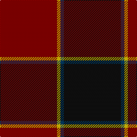 DR/100 Y6 DB6 K/100 tartan Tartan detail