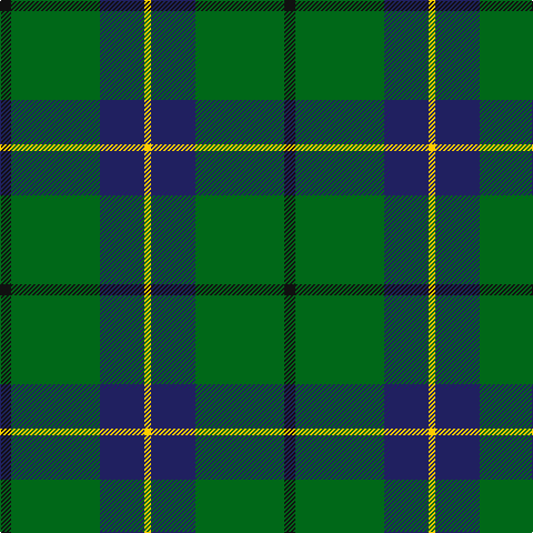 K/10 G80 DB40 Y/6 tartan Tartan detail