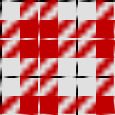 K/10 LN74 R74 LN/10 tartan Tartan detail