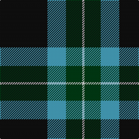 K/82 B32 DG28 LN/4 tartan Tartan detail