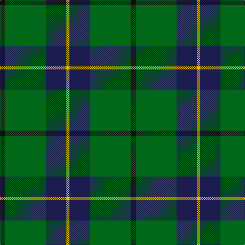K/10 G80 DB40 Y/6 tartan Tartan detail