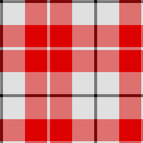 K/10 LN74 R74 LN/10 tartan Tartan detail