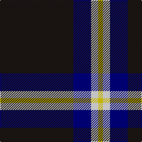 K/124 DB30 W12 Y/8 tartan Tartan detail