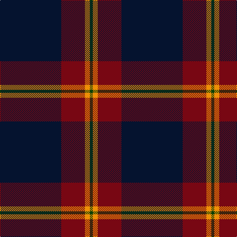 DN/124 DR48 O10 G/6 tartan Tartan detail