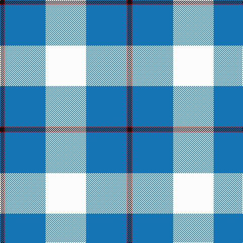 K/8 R2 B80 W/80 tartan Tartan detail