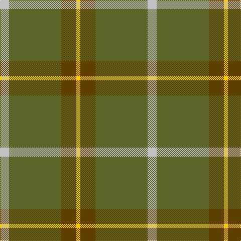 N/18 G104 T30 Y/8 tartan Tartan detail