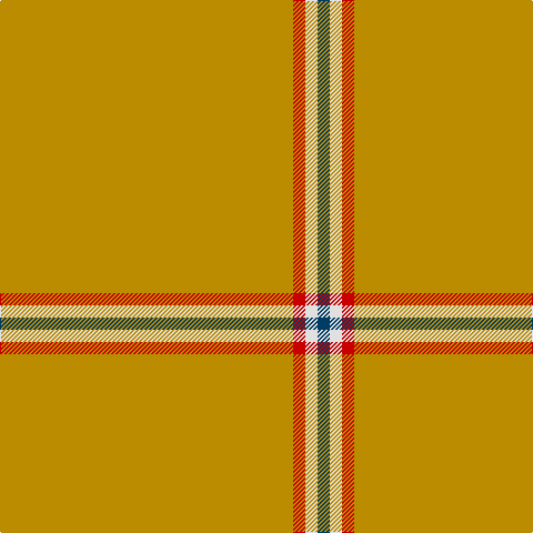 DB/11 LN11 R11 DY/264 tartan Tartan detail