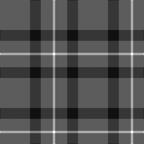 N/100 K36 N40 W/8 tartan Tartan detail