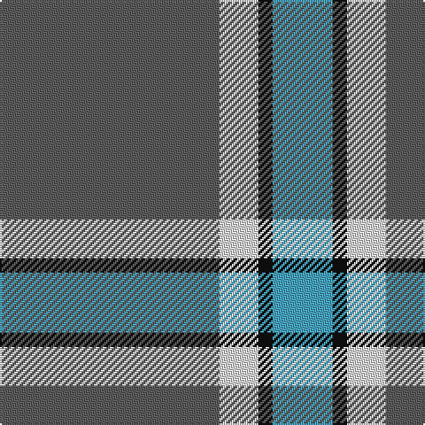N/124 LN22 K8 B/34 tartan Tartan detail