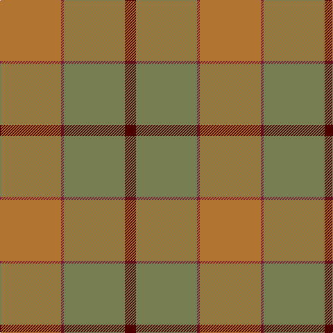 DR/16 G88 DRa4 LT/88 tartan Tartan detail