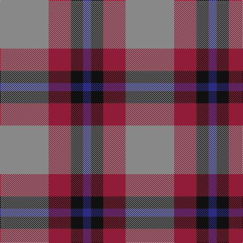 DB/16 K24 DR44 N/96 tartan Tartan detail