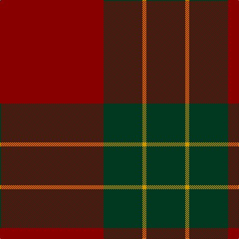 DR/208 DG78 DY8 DG/78 tartan Tartan detail