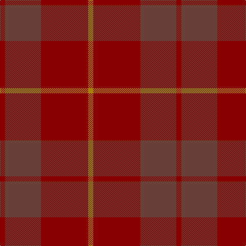 DR/10 N70 DR92 DY/10 tartan Tartan detail