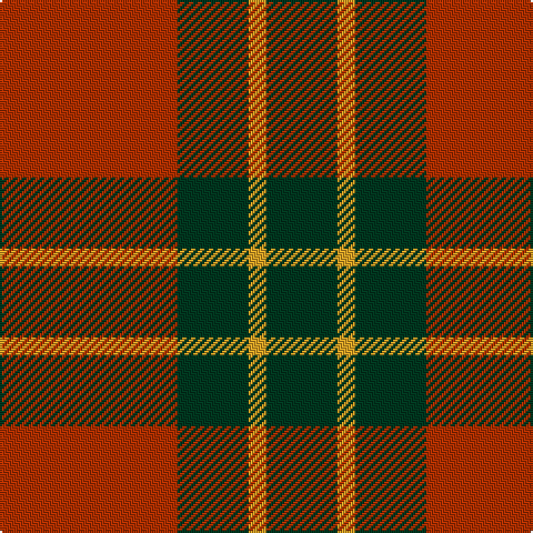 R/80 DG32 Y8 DG/32 tartan Tartan detail