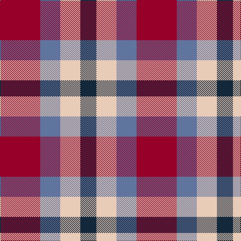 DR/80 B40 LR40 DN/32 tartan Tartan detail