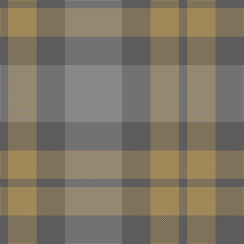N/16 LT56 N56 Na/112 tartan Tartan detail