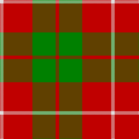 LN/12 R100 G80 R/12 tartan Tartan detail