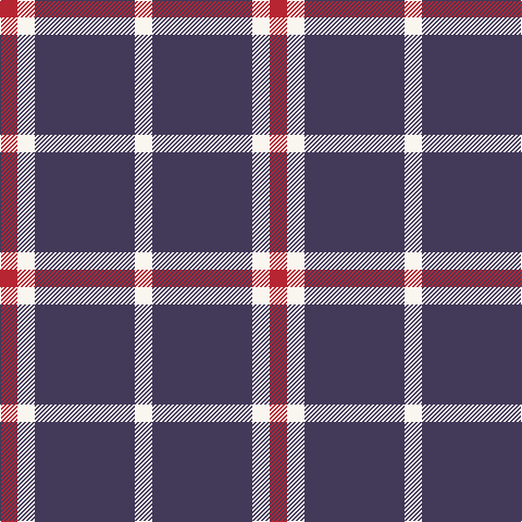 R/16 W16 N92 W/16 tartan Tartan detail