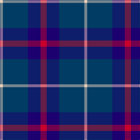 LR/10 DB86 DBa43 R/21 tartan Tartan detail