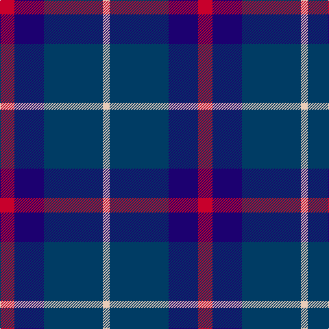 LR/10 DB86 DBa43 R/21 tartan Tartan detail