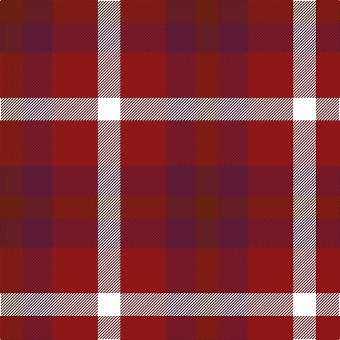 T/32 DR42 DRa64 W/32 tartan Tartan detail