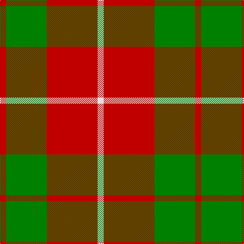 LN/12 R100 G80 R/12 tartan Tartan detail