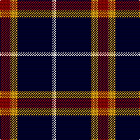 DR/18 DY12 DB60 LN/6 tartan Tartan detail