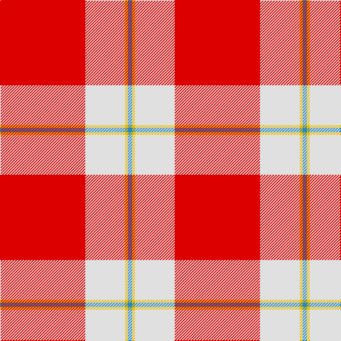 R/120 LN56 Y4 B/6 tartan Tartan detail