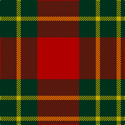 DG/32 Y8 DG32 R/80 tartan Tartan detail