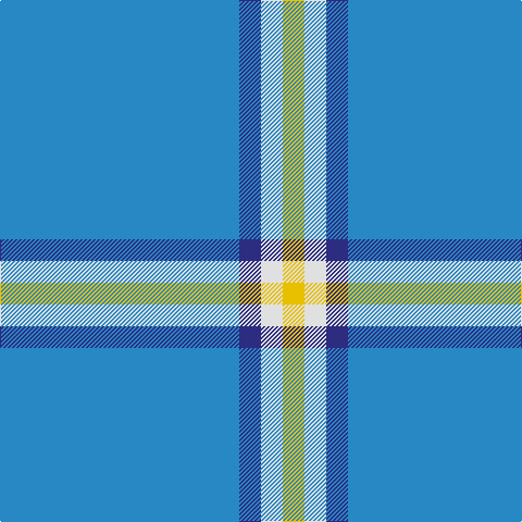 B/220 DB20 LN20 Y/20 tartan Tartan detail
