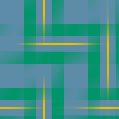 B/96 Ba50 B26 Y/10 tartan Tartan detail