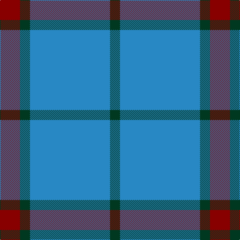 DR/40 DG20 B160 DG/20 tartan Tartan detail
