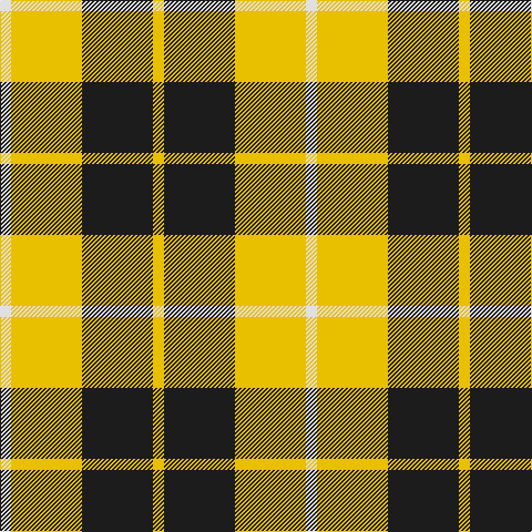 LN/10 Y64 K64 Y/10 tartan Tartan detail