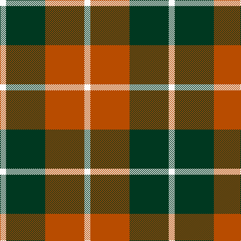 W/12 DG78 DO78 W/12 tartan Tartan detail