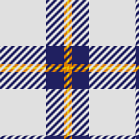 LN/160 DB60 O10 Y/8 tartan Tartan detail