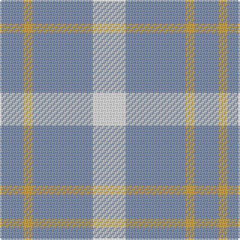 B/16 Y6 B40 W/22 tartan Tartan detail