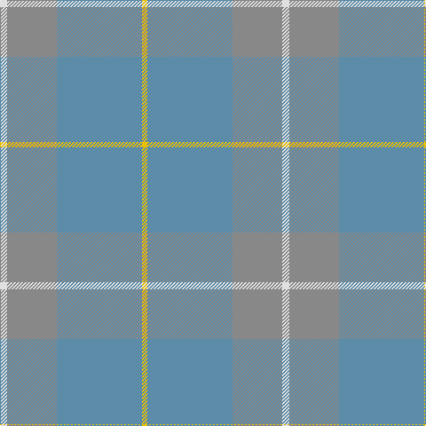 LN/8 N56 B96 Y/6 tartan Tartan detail