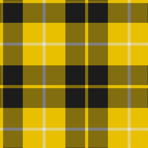 Y/10 K64 Y64 LN/10 tartan Tartan detail