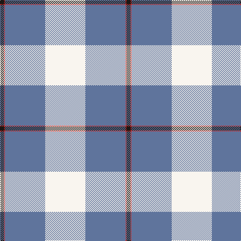 K/8 R2 B80 W/80 tartan Tartan detail